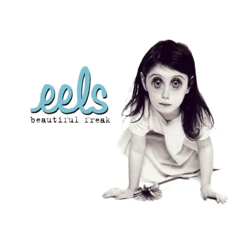 Cover art for Beautiful Freak