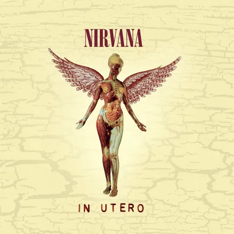 Cover art for In Utero