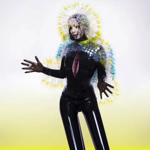 Cover art for Vulnicura