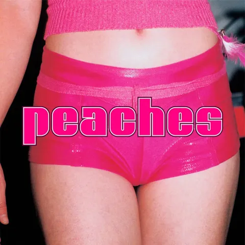 Cover art for The Teaches of Peaches