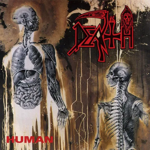 Cover art for Human