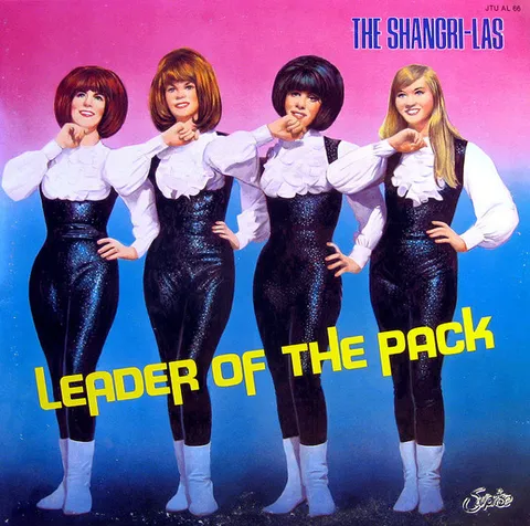 Cover art for Leader of the Pack