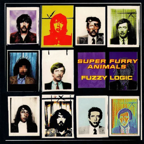 Cover art for Fuzzy Logic
