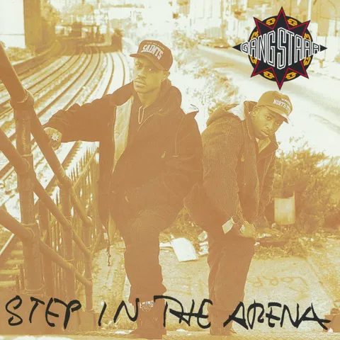 Cover art for Step in the Arena